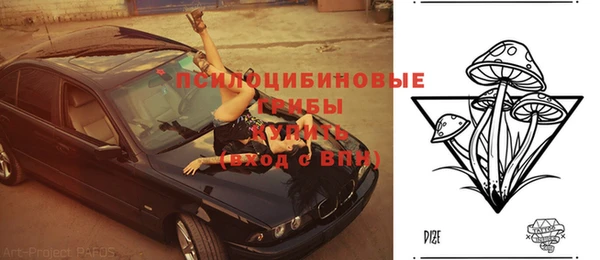 a pvp Алзамай