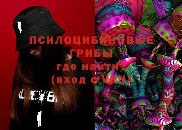 PSILOCYBIN Абинск
