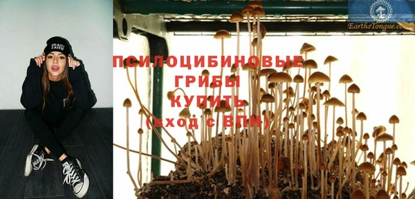 a pvp Алзамай