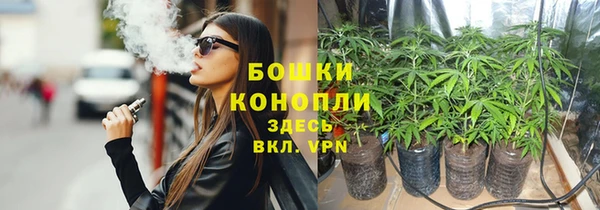 PSILOCYBIN Абинск