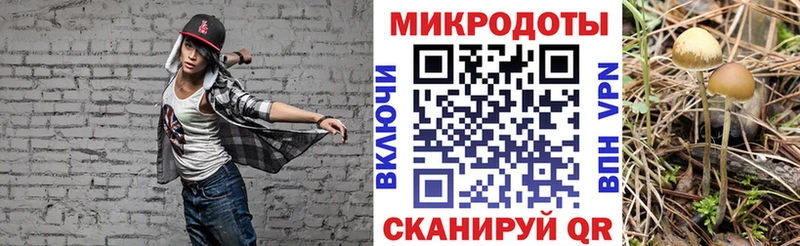 Псилоцибиновые грибы GOLDEN TEACHER  Сафоново 