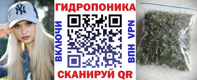 Канабис THC 21%  где купить наркоту  Сафоново 